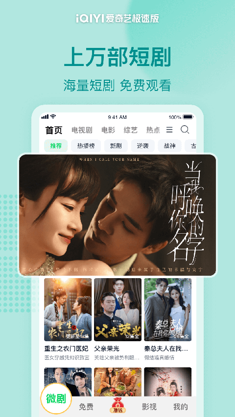 趴在窗台上的缅因猫凝视飞雪壁纸